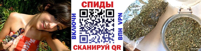 Бутират буратино продажа наркотиков Краснознаменск