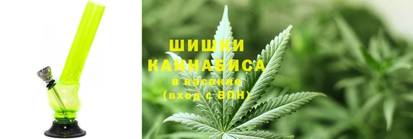 гидропоника Богданович