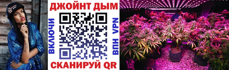 Конопля конопля  Краснознаменск 